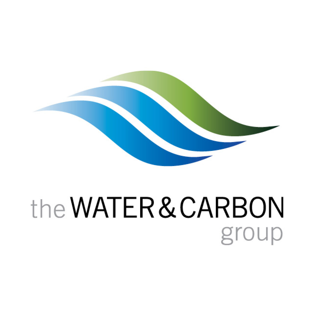 The Water and Carbon Group